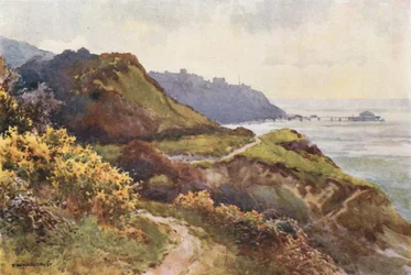 Ventnor vanaf de Steephill Walk