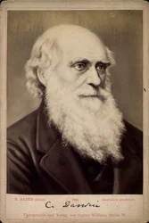 Charles Darwin, Britse natuuronderzoeker