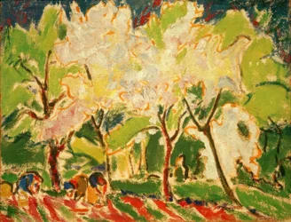 Landschap in de lente