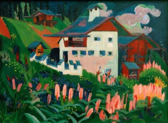 Ons huis. Ons huis in de weiden