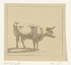 Stier staand, naar rechts