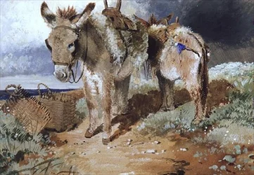 Ezels, 1855