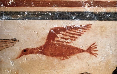 Een vogel (detail van fresco, 530 v.Chr.)