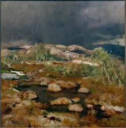 Regenbui in het Noorse hoogveen