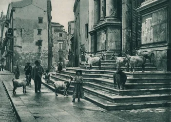 Geiten op de trappen van de Kathedraal, Palermo, Sicilië, Italië, 1927