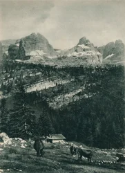 Uitzicht op de Brenta-groep met alpenweide, Madonna di Campiglio, Dolomieten, Italië