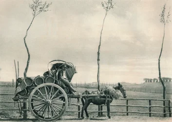 Wijn-drager in de Campagna, Rome, Italië, 1927