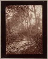Park van Sceaux