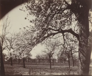 Poirier,1921 (foto)