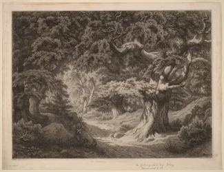 De Charlemagne, woud van Fontainebleau