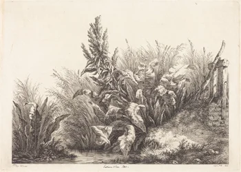 Waterzuring, studie