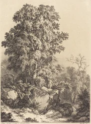Beukenbos, 1840