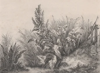 Grote waterzuringplant, 1840