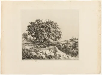 Het Boeket van Bomen, of De Lindebomen (Souvenir van de Sarthe)