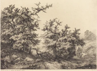 Doornstruiken, 1840