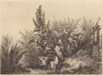 Waterdock