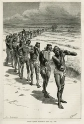 Kolonne dragers door de rijstvelden, tussen Bassac en Hue, geëtst naar een tekening van Eugene Burnand, ter illustratie van het verhaal over Laos en de wilde bevolkingen van Indochina, door Dr. Harmand, in 1877, gepubliceerd in de tour du monde, onder de d