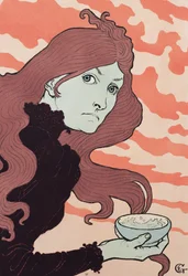 De vitrioolgooier, 1894