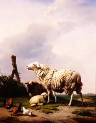 Schapen en pluimvee in een landschap