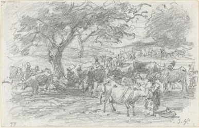 Herders en vee