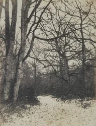 Fontainebleau Bos, ca. 1860