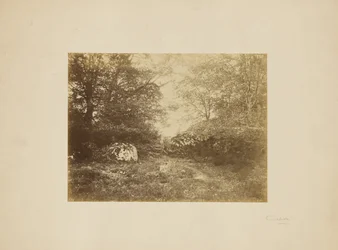 [Landschapsstudie]