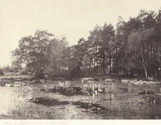 Moeras bij Piat (Belle-Croix Plateau)