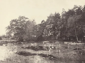Moeras bij Piat Belle-Croix Plateau, ca. 1863