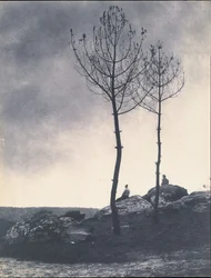 Près de la Caverne, Terrain Brûlé, begin 1860s