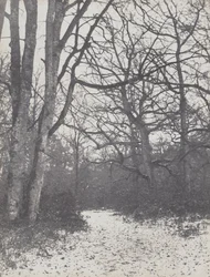 Weg in het bos, 1860-1863