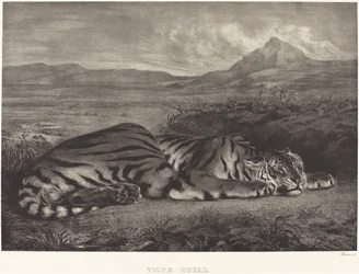 Koninklijke Tijger