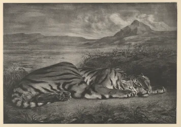 Koninklijke tijger, 1829