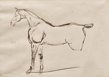 Studie van een Paard