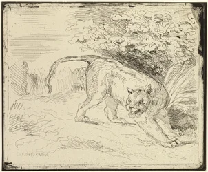 Tijger klaar voor de lente