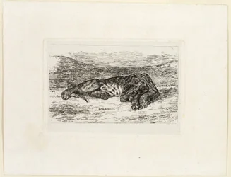 Rustende Tijger in de Woestijn