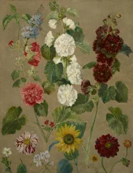 Zonder titel [bloemen]