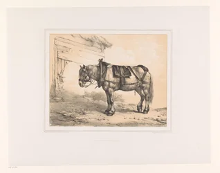 Paard met zadel en halster
