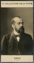 Robert Koch, Arts