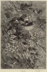 Een huiselijke kring (gravure)