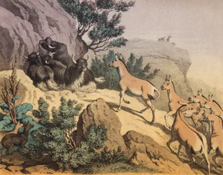 Een woestijn in Centraal-Azië