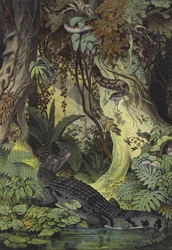 Dieren van de Amazone-jungles van Brazilië (kleurenlitho)