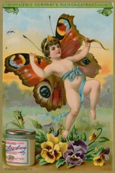 Vlinder Cherub met Viooltjes
