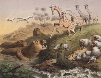 Aan de Nijl in Nubië