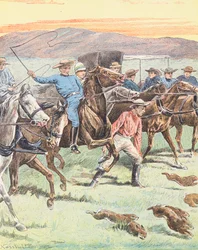 Jacht op konijnen in Australië (kleurenlitho)