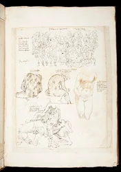 Ms 701 fl.34v, Tekening inclusief een zicht op de Spinario van achteren, laat 15e eeuw (pen en inkt op papier)