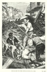Redding door de Intelligentie van een hond (gravure)
