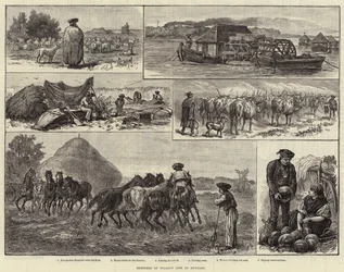 Schetsen van het boerenleven in Hongarije (gravure)
