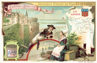 De Loire en een uitzicht op het kasteel van Amboise