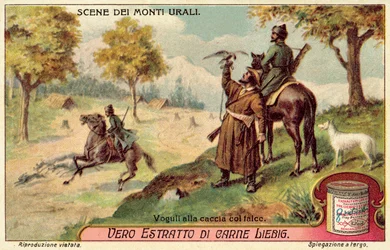 Voguls jagen met valken