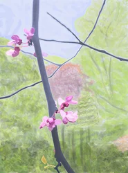 Tak en bloesem (digitale kunst)